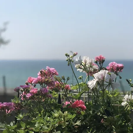 Holiday Bakirkoy Ii